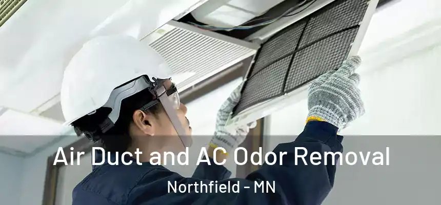 Air Duct and AC Odor Removal Northfield - MN