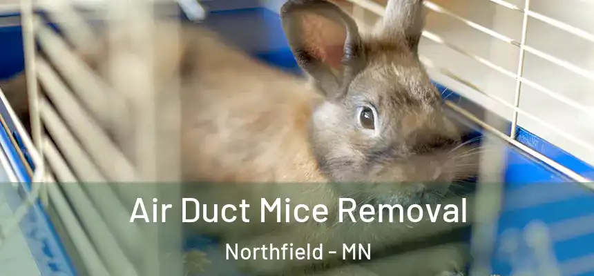 Air Duct Mice Removal Northfield - MN