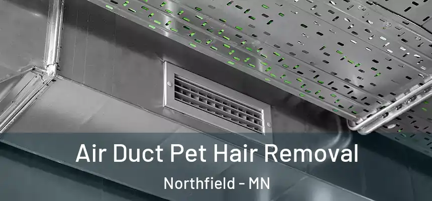 Air Duct Pet Hair Removal Northfield - MN