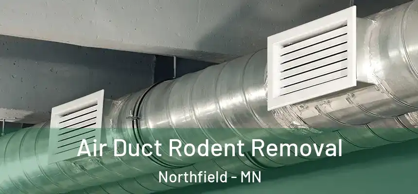 Air Duct Rodent Removal Northfield - MN