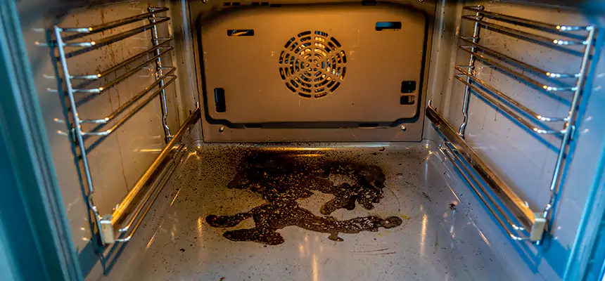 Our Dryer Vent Mold Cleaning Services in Northfield, MN