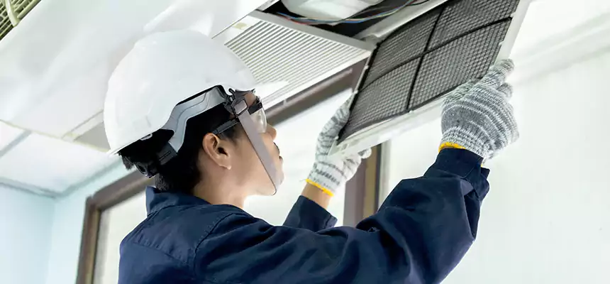 Our Mold & Mildew Removal from Air Ducts Services in Northfield, MN