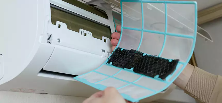 Gentle Ductwork Odor-Control Pet Dander Duct Cleaning in Northfield, MN