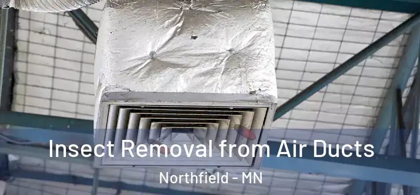 Insect Removal from Air Ducts Northfield - MN