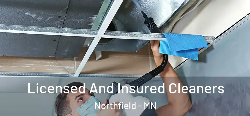 Licensed And Insured Cleaners Northfield - MN