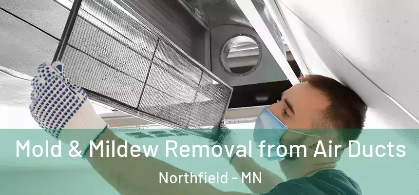  Mold & Mildew Removal from Air Ducts Northfield - MN