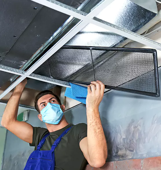 About Air Duct Bacteria Removal in Northfield