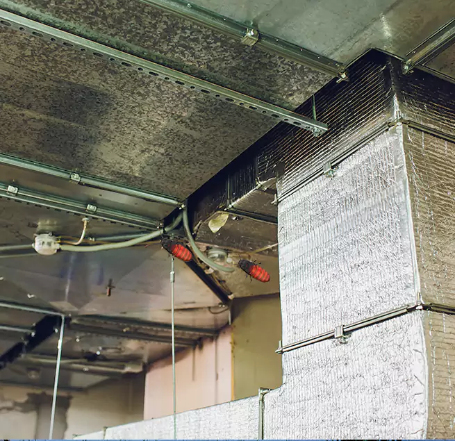 Why Homeowners & Businesses Trust Us Northfield, MN?