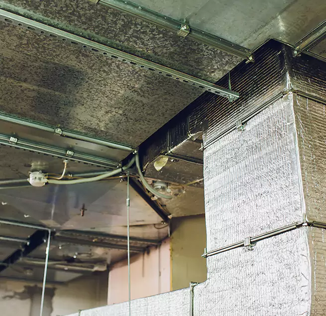 Why Homeowners & Businesses Trust Us in Northfield, MN?